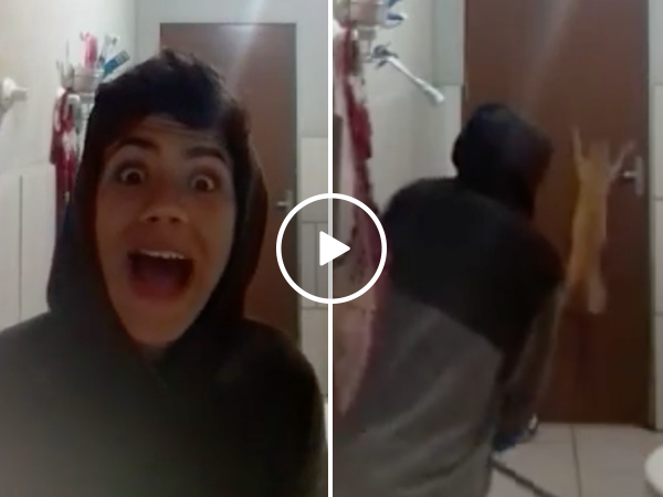 Useless cat freaks out with owner trying to catch a rat (Video)