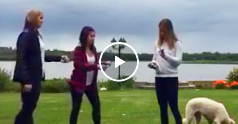 Losing your shotgun virginity can be rough (Video)