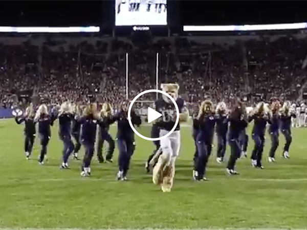 BYU Mascot Dances With Cheerleaders | Cougar Nails Halftime Routine
