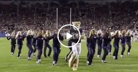 BYU Mascot Dances With Cheerleaders | Cougar Nails Halftime Routine