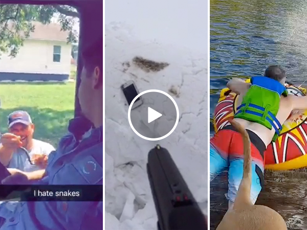 Snakes, guns and other Top 5 user Submits from September (Video)