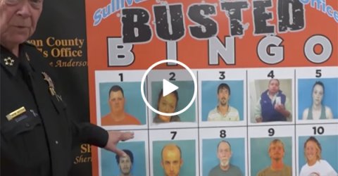 Sheriff's office produces Busted Bingo to catch suspects