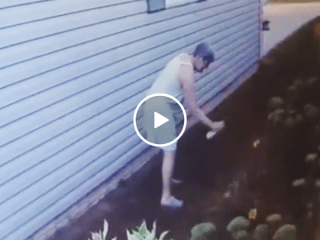 Crazy old lady spray painting plants caught on surveillance (Video)