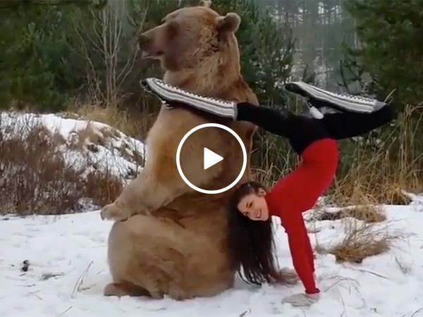 Dancing Girl Risks Her Life With A Huge Grizzly Bear In the Snow