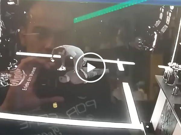 Veteran Stops A Robbery With Combat Skills