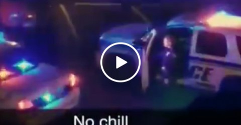 Playing the Cops theme song should be an arrest requirement (Video)