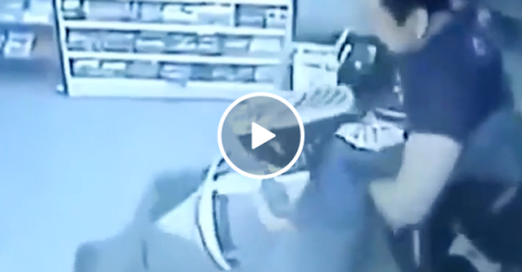 Robber gets spanked by shopkeeper (Video)