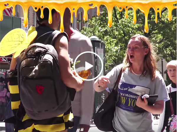 Woman trying to Save The Bees gets thanks from a man dressed a a bee