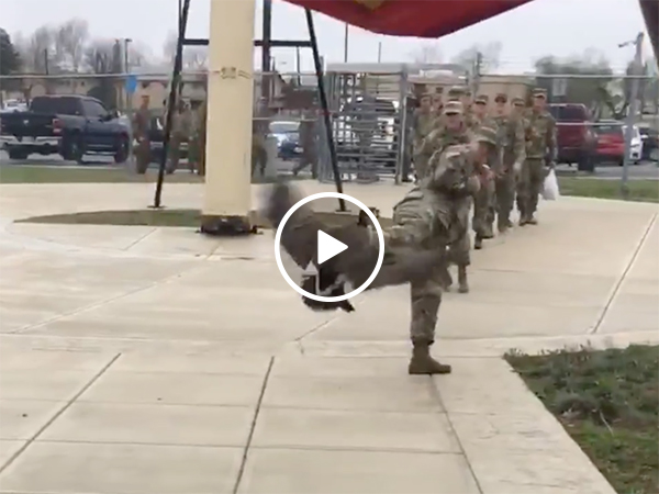 An angry goose attacking soldiers at a US Army base
