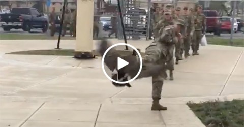 An angry goose attacking soldiers at a US Army base