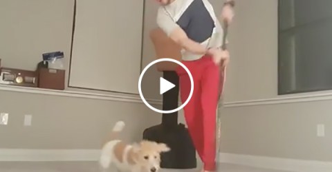 NHL Hockey Player Stick Handles A Ball Around His Dog