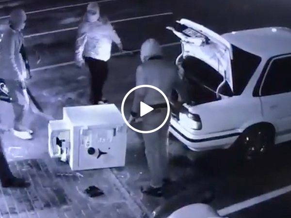 Group of thieves try to fit stolen safe in tiny trunk (Video)