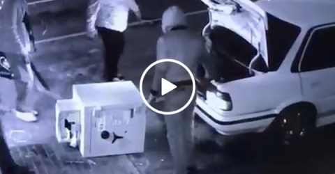 Group of thieves try to fit stolen safe in tiny trunk (Video)