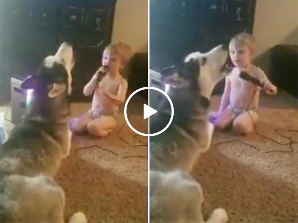 A Toddler And His Dog Rock Out And Sing a Duet
