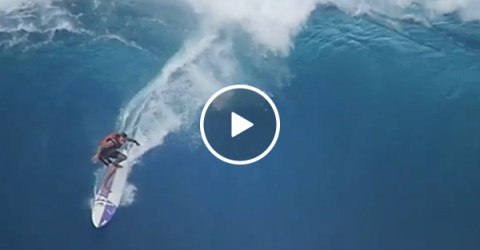 Surfing highlight Video of Wipe Outs at Pipeline