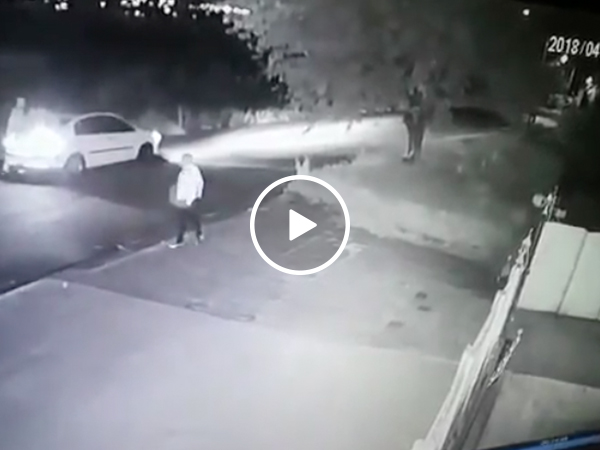 Carjackers feel the cold fist of karma (Video)