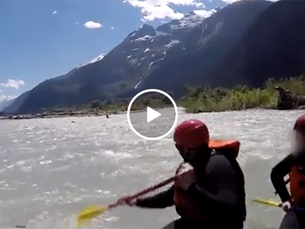 Grizzly Bear Attacks a Human on a River in Alaska