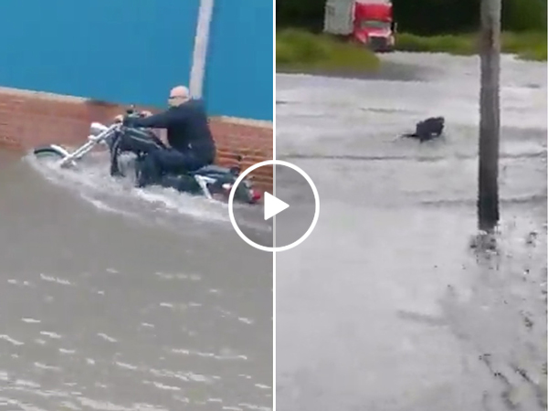 Man takes Harley for spin in the floods, instantly regrets it