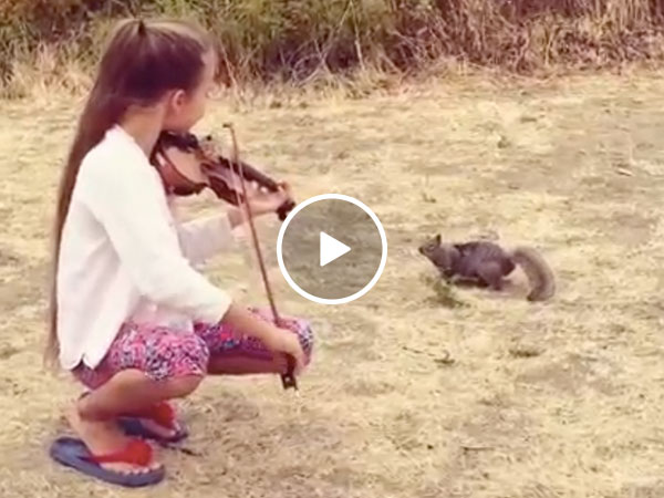 There's a 602% chance this girl is a Disney Princess (Video)