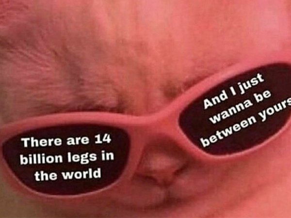 NSFW Memes are Chicken Soup for your corrupted little soul