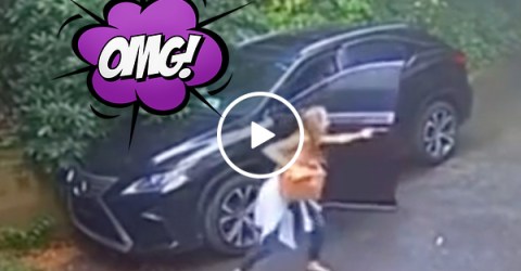 Bearly anyone expected THAT was in her Lexus (Video)