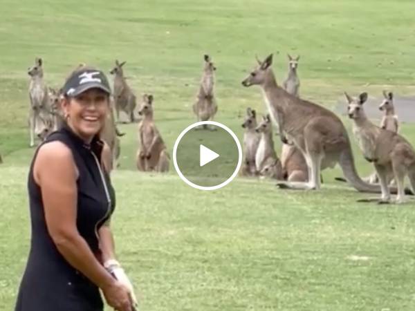 How many points to sink it in a kangaroo pouch? (Video)