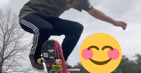 Skater's adorable audience is legitness (Video)
