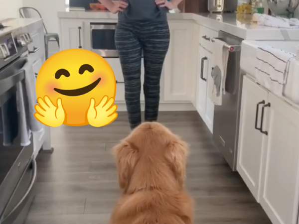Good boy sees his mom standing up after two years in a wheelchair