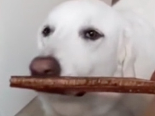 She picks her chew sticks like fine cigars (Video)